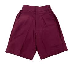 Boys School Shorts (Multiple Colours)